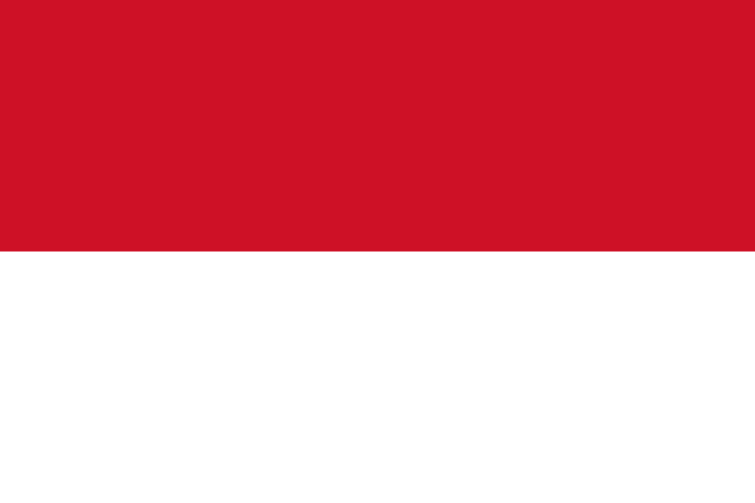 flag Indonesia