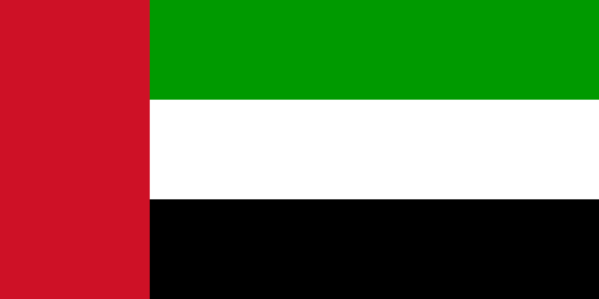 flag United Arab Emirates